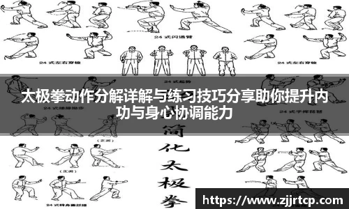 太极拳动作分解详解与练习技巧分享助你提升内功与身心协调能力